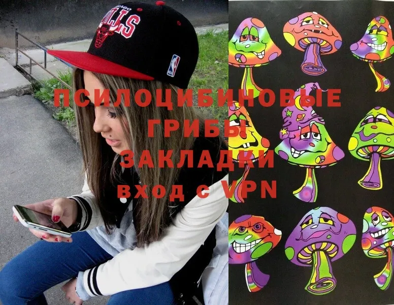 Галлюциногенные грибы Magic Shrooms  купить   Питкяранта 